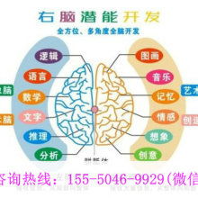 廈門(mén)學(xué)之源科技開(kāi)發(fā)公司 專(zhuān)注早教教材與幼教產(chǎn)品，引領(lǐng)信息技術(shù)咨詢服務(wù)